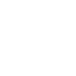 Success Icon